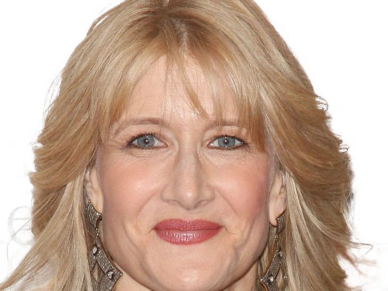 laura elizabeth dern actrice productrice femme americaine quarantenaire quadragenaire quarantaine annees 2010s blonde yeux bleus