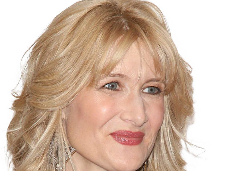 laura elizabeth dern actrice productrice femme americaine quarantenaire quadragenaire quarantaine annees 2010s blonde yeux bleus