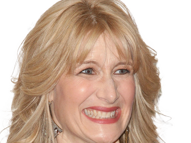 laura elizabeth dern actrice productrice femme americaine quarantenaire quadragenaire quarantaine annees 2010s blonde yeux bleus