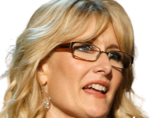 laura elizabeth dern actrice productrice femme americaine quarantenaire quadragenaire quarantaine annees 2010s blonde yeux bleus