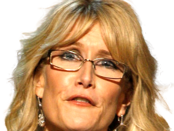 laura elizabeth dern actrice productrice femme americaine quarantenaire quadragenaire quarantaine annees 2010s blonde yeux bleus