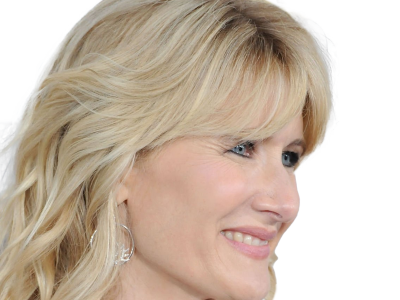 laura elizabeth dern actrice productrice femme americaine quarantenaire quadragenaire quarantaine annees 2010s blonde yeux bleus