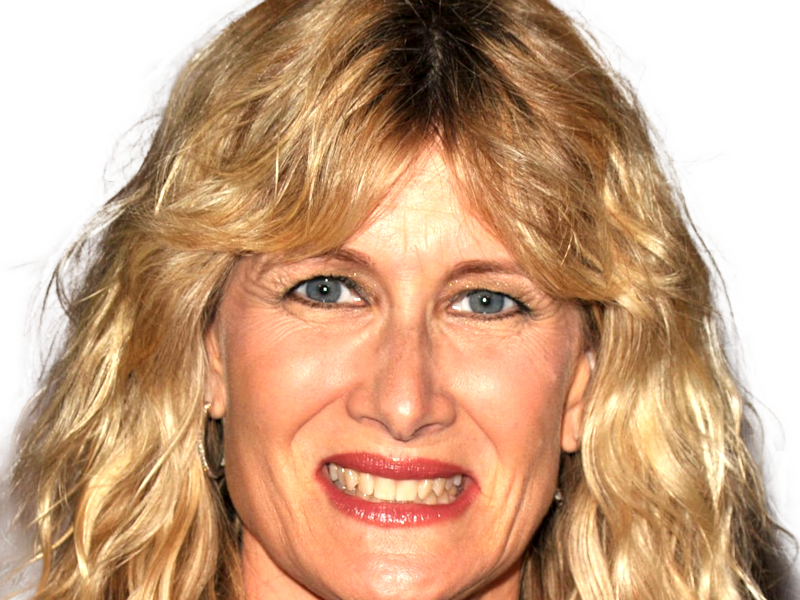 laura elizabeth dern actrice productrice femme americaine quarantenaire quadragenaire quarantaine annees 2010s blonde yeux bleus