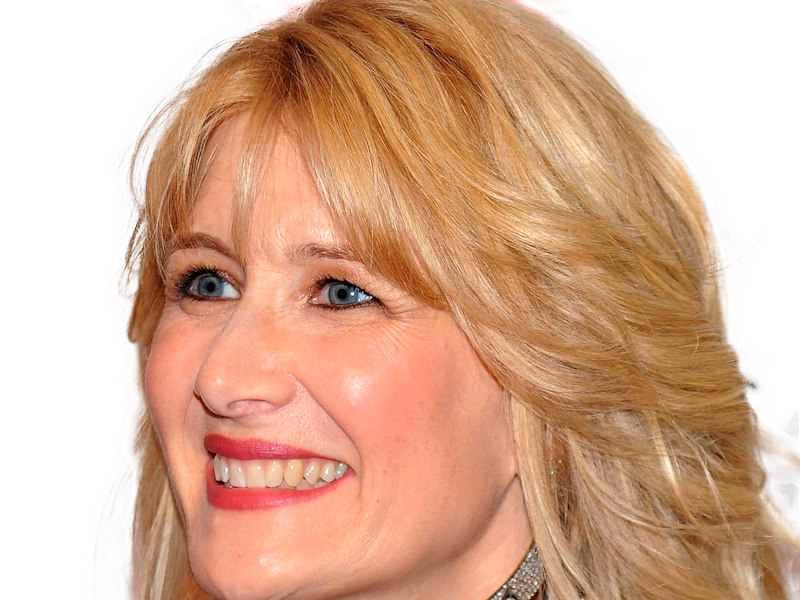 laura elizabeth dern actrice productrice femme americaine quarantenaire quadragenaire quarantaine annees 2010s blonde yeux bleus