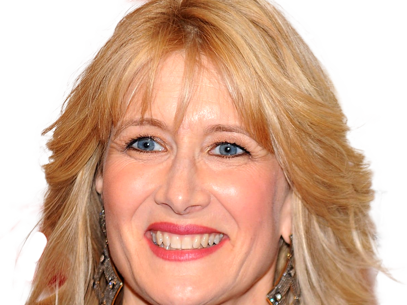 laura elizabeth dern actrice productrice femme americaine quarantenaire quadragenaire quarantaine annees 2010s blonde yeux bleus