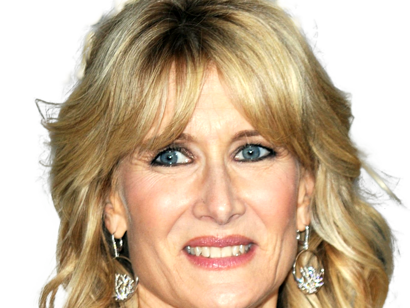 laura elizabeth dern actrice productrice femme americaine quarantenaire quadragenaire quarantaine annees 2010s blonde yeux bleus