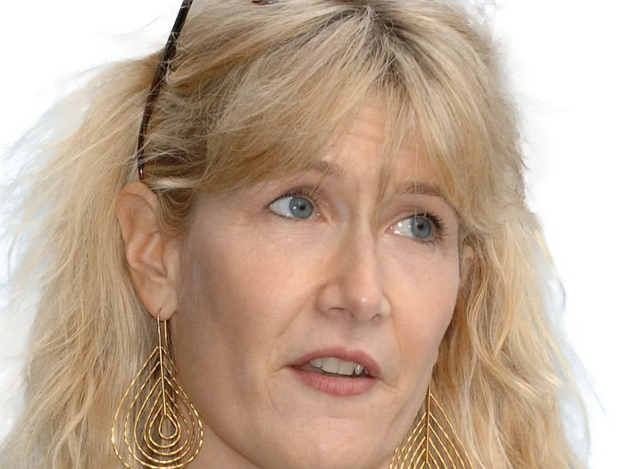 laura elizabeth dern actrice productrice femme americaine quarantenaire quadragenaire quarantaine annees 2010s blonde yeux bleus