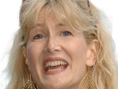 laura elizabeth dern actrice productrice femme americaine quarantenaire quadragenaire quarantaine annees 2010s blonde yeux bleus