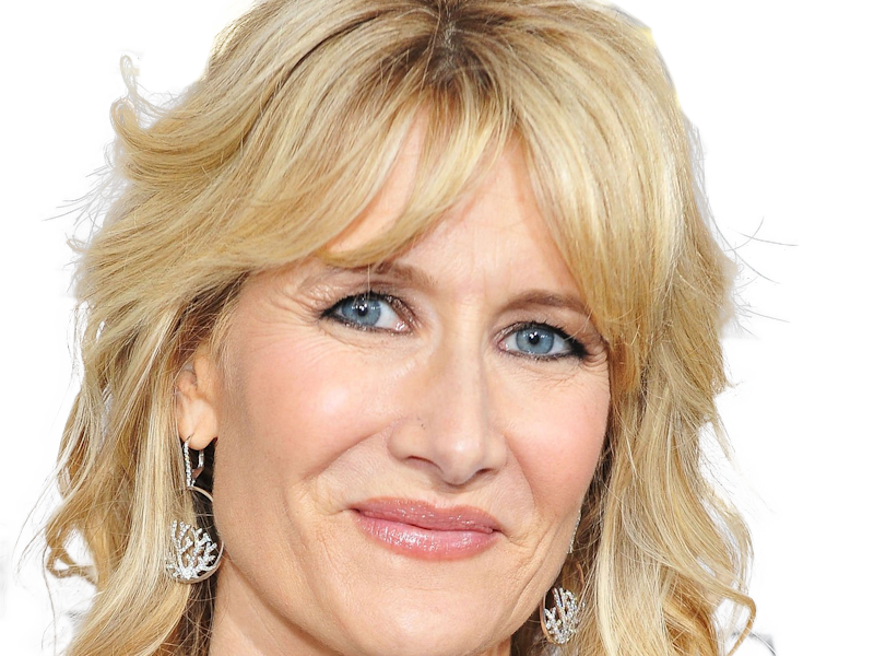 laura elizabeth dern actrice productrice femme americaine quarantenaire quadragenaire quarantaine annees 2010s blonde yeux bleus