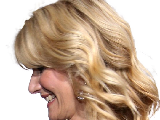 laura elizabeth dern actrice productrice femme americaine quarantenaire quadragenaire quarantaine annees 2010s blonde yeux bleus