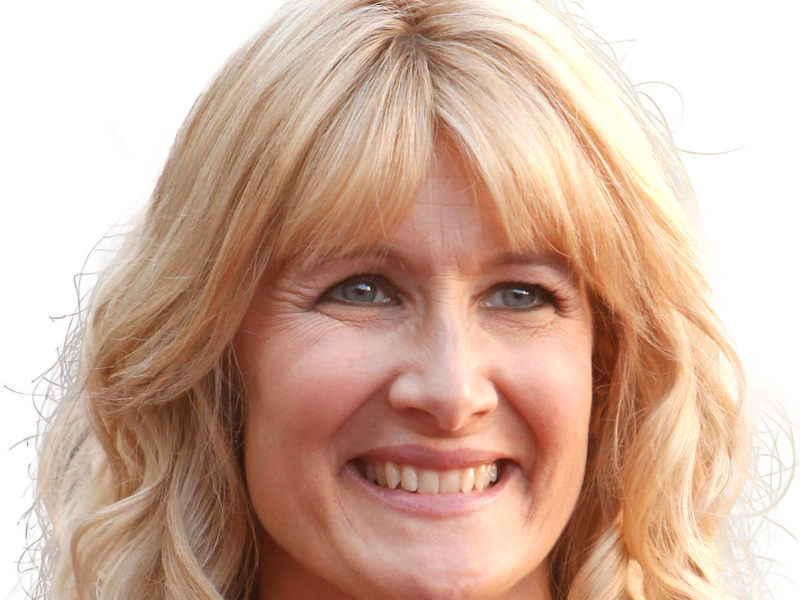 laura elizabeth dern actrice productrice femme americaine quarantenaire quadragenaire quarantaine annees 2010s blonde yeux bleus