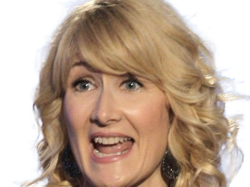 laura elizabeth dern actrice productrice femme americaine quarantenaire quadragenaire quarantaine annees 2010s blonde yeux bleus