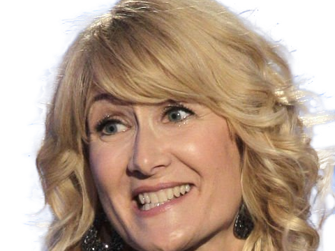 laura elizabeth dern actrice productrice femme americaine quarantenaire quadragenaire quarantaine annees 2010s blonde yeux bleus