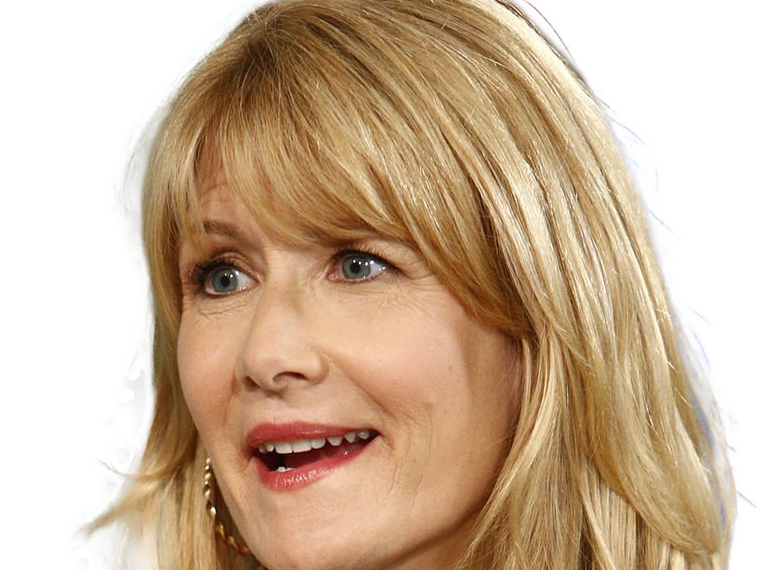 laura elizabeth dern actrice productrice femme americaine quarantenaire quadragenaire quarantaine annees 2010s blonde yeux bleus