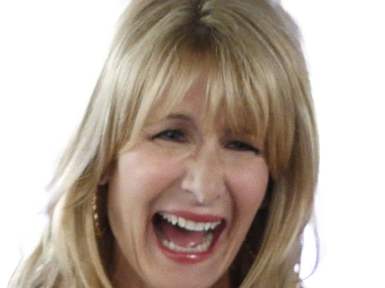 laura elizabeth dern actrice productrice femme americaine quarantenaire quadragenaire quarantaine annees 2010s blonde yeux bleus