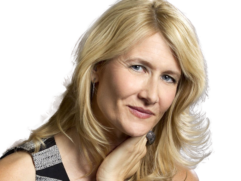 laura elizabeth dern actrice productrice femme americaine quarantenaire quadragenaire quarantaine annees 2010s blonde yeux bleus