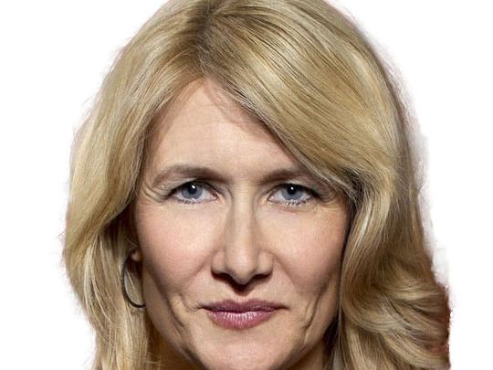 laura elizabeth dern actrice productrice femme americaine quarantenaire quadragenaire quarantaine annees 2010s blonde yeux bleus
