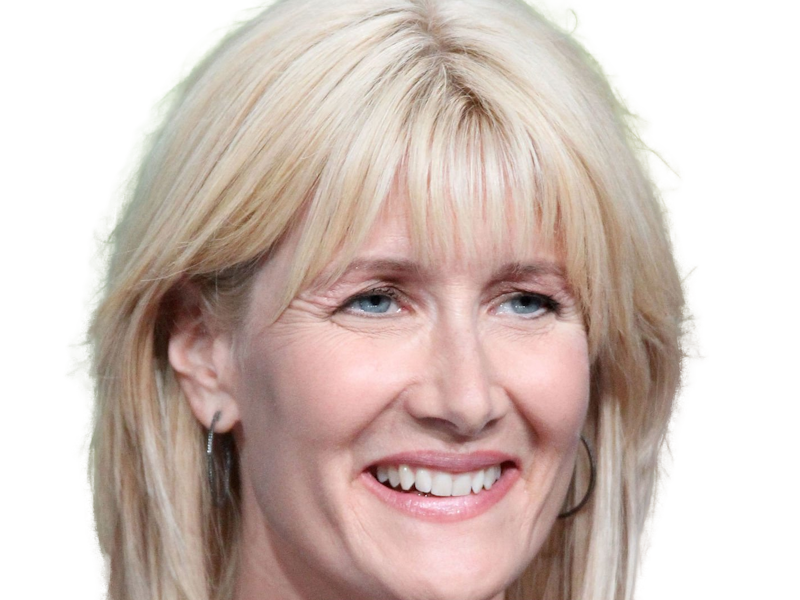 laura elizabeth dern actrice productrice femme americaine quarantenaire quadragenaire quarantaine annees 2010s blonde yeux bleus