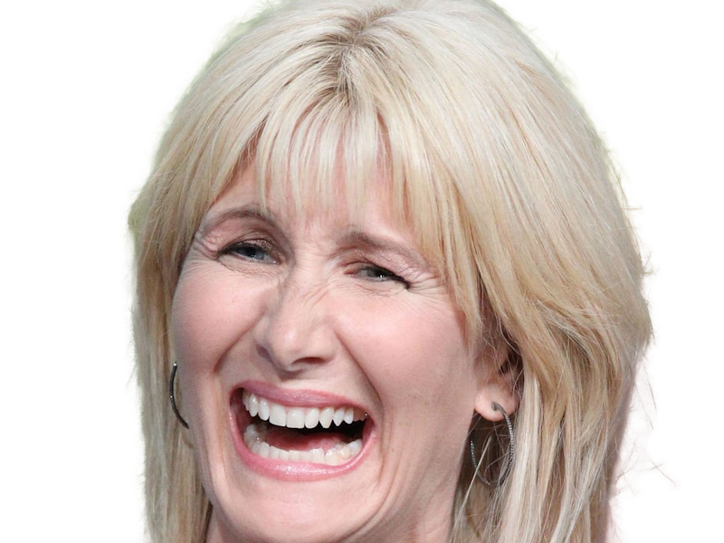 laura elizabeth dern actrice productrice femme americaine quarantenaire quadragenaire quarantaine annees 2010s blonde yeux bleus