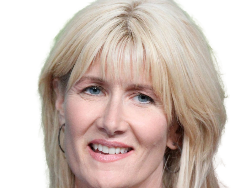 laura elizabeth dern actrice productrice femme americaine quarantenaire quadragenaire quarantaine annees 2010s blonde yeux bleus