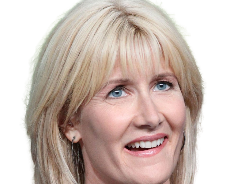 laura elizabeth dern actrice productrice femme americaine quarantenaire quadragenaire quarantaine annees 2010s blonde yeux bleus