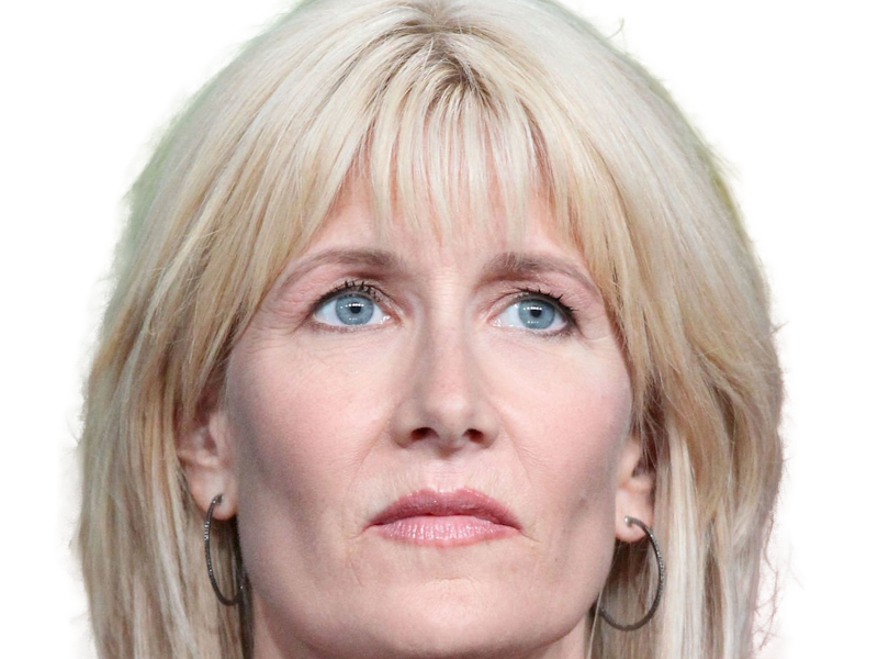 laura elizabeth dern actrice productrice femme americaine quarantenaire quadragenaire quarantaine annees 2010s blonde yeux bleus