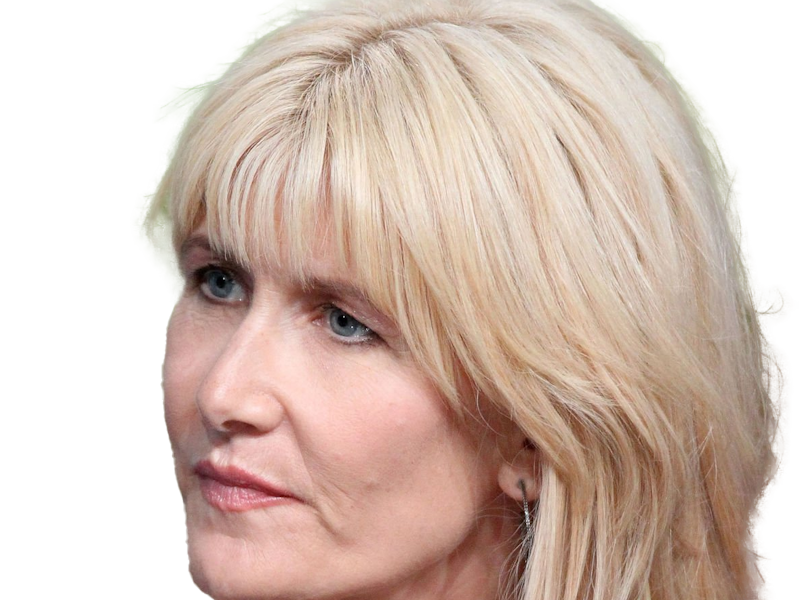 laura elizabeth dern actrice productrice femme americaine quarantenaire quadragenaire quarantaine annees 2010s blonde yeux bleus