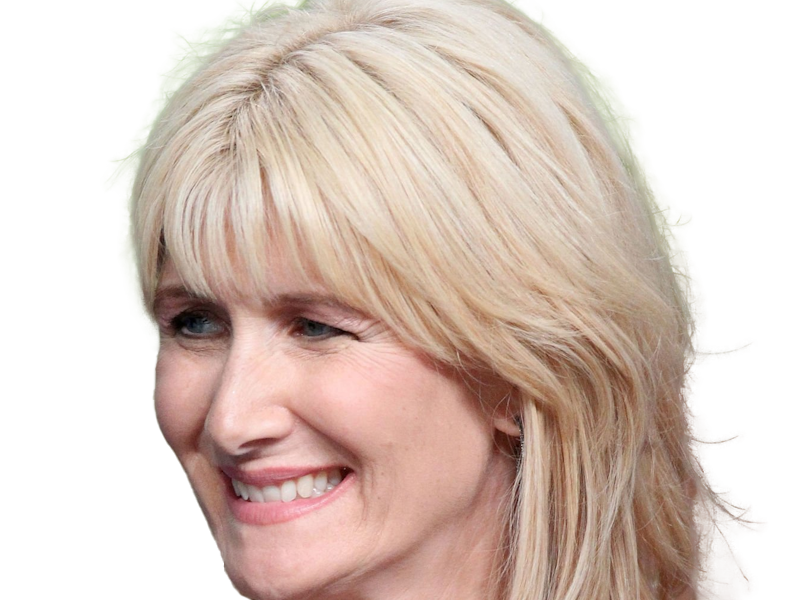 laura elizabeth dern actrice productrice femme americaine quarantenaire quadragenaire quarantaine annees 2010s blonde yeux bleus