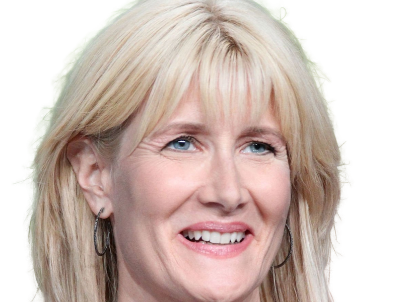 laura elizabeth dern actrice productrice femme americaine quarantenaire quadragenaire quarantaine annees 2010s blonde yeux bleus