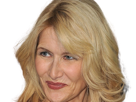 laura-elizabeth-dern-actrice-productrice-femme-americaine-quarantenaire-quadragenaire-quarantaine-annees-2010s-blonde-yeux-bleus