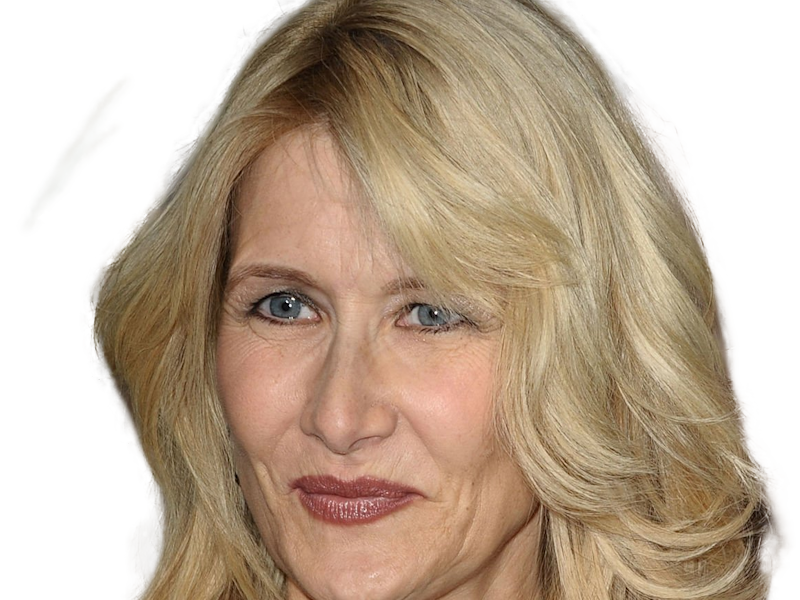 laura elizabeth dern actrice productrice femme americaine quarantenaire quadragenaire quarantaine annees 2010s blonde yeux bleus