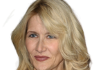 laura-elizabeth-dern-actrice-productrice-femme-americaine-quarantenaire-quadragenaire-quarantaine-annees-2010s-blonde-yeux-bleus