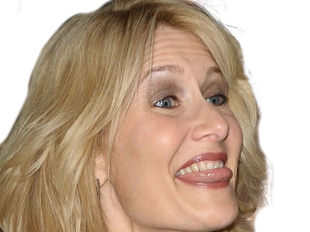 laura elizabeth dern actrice productrice femme americaine quarantenaire quadragenaire quarantaine annees 2010s blonde yeux bleus