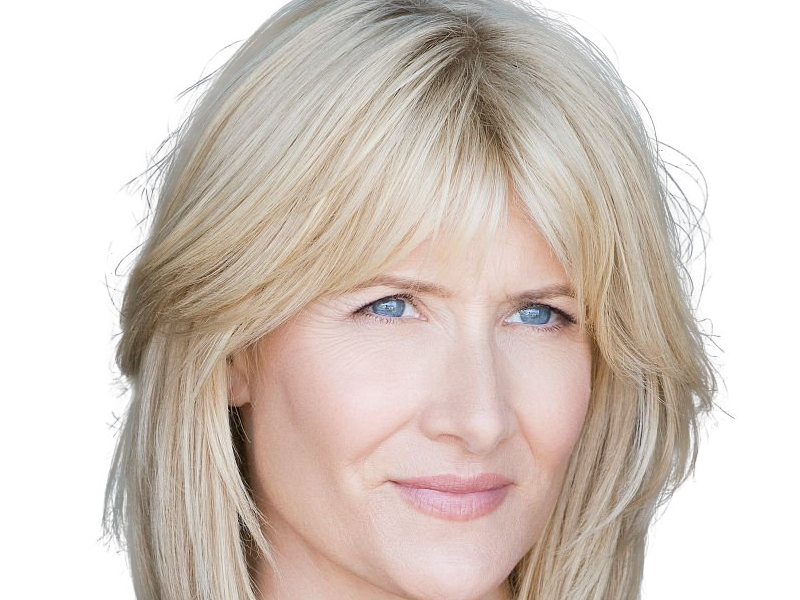 laura elizabeth dern actrice productrice femme americaine quarantenaire quadragenaire quarantaine annees 2010s blonde yeux bleus