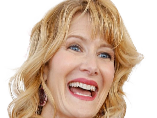 laura elizabeth dern actrice productrice femme americaine quarantenaire quadragenaire quarantaine annees 2010s blonde yeux bleus