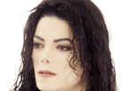 michael-jackson-auteur-compositeur-interprete-danseur-choregraphe-philanthrope-acteur-chanteur-americain-homme-blackmaiswhite-blanc-kingofpop
