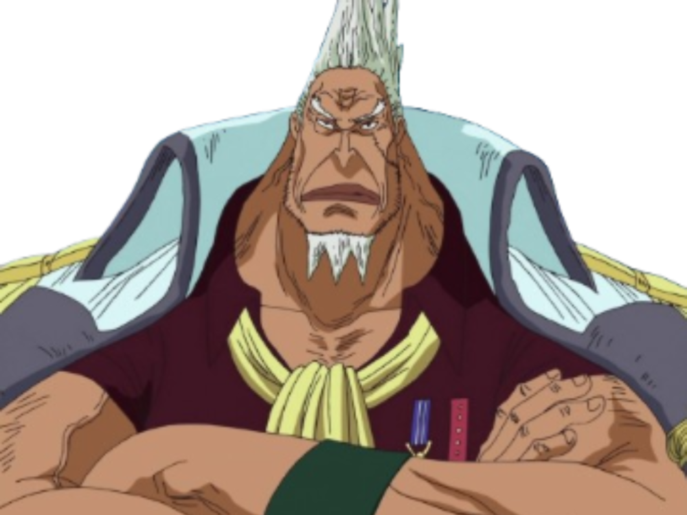 one piece marine commandant supreme amiral chef kong gouvernement mondial