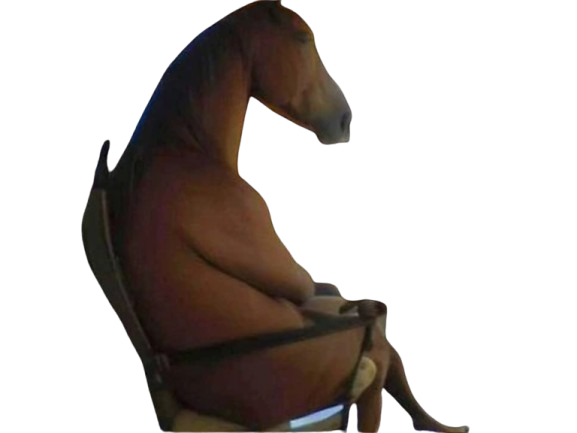 cheval assis chaise attendre patience