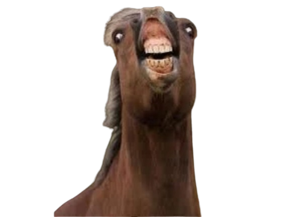 cheval montre ses dents