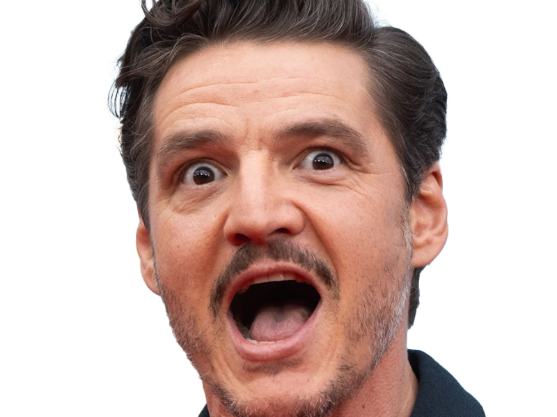 jose pedro balmaceda pascal acteur chilien americain homme latino cinquantenaire cinquantaine quinquagenaire moustache brun