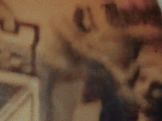 blessd el bendito 57 gif