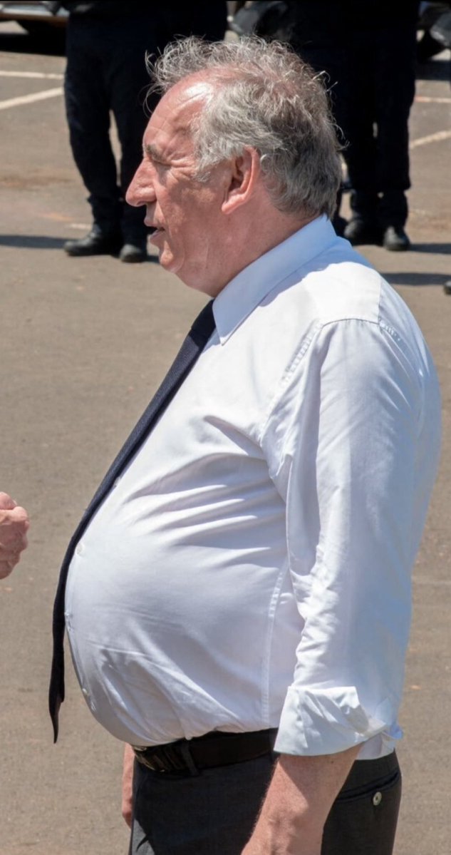 bayrou ventru francois