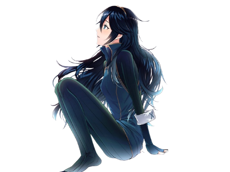 lucina fire emblem awakening hdb