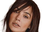 gal-gadot-actrice-productrice-mannequin-miss-israelienne-juive-femme-trentaine-trentenaire-annees-2020s-cheveuxbruns-yeuxmarrons
