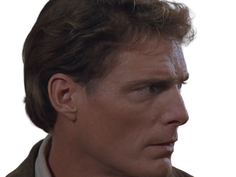 dr docteur alan chaffee levillagedesdamnes villageofthedamned film 1995 christopher dolier reeve americain homme cheveuxbruns yeuxbleus