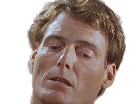 dr docteur alan chaffee levillagedesdamnes villageofthedamned film 1995 christopher dolier reeve americain homme cheveuxbruns yeuxbleus