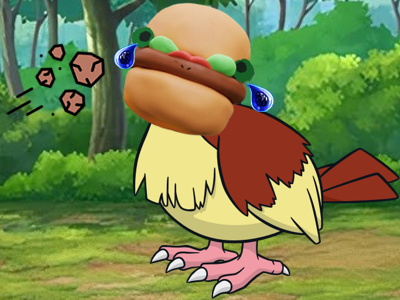 hambourger bourger roucool pokemon victime bolosse caillou triste wlh