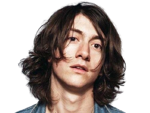 alex turner arctic monkeys the last shadow puppets musicien chanteur guitariste rock inde britannique