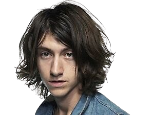 alex turner arctic monkeys the last shadow puppets musicien chanteur guitariste rock inde britannique