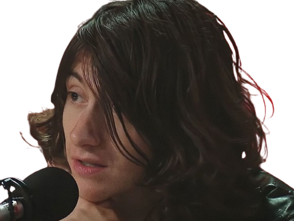 alex turner arctic monkeys the last shadow puppets musicien chanteur guitariste rock inde britannique